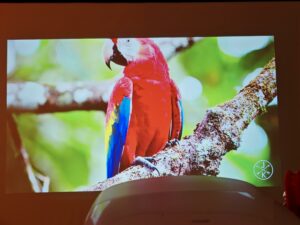 Blitzwolf BW V11 Bildqualitaet 11 Blitzwolf BW V11 Bildqualitaet 11