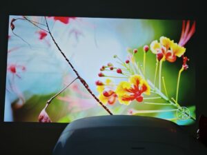 Blitzwolf BW V11 Bildqualitaet 16 Blitzwolf BW V11 Bildqualitaet 16