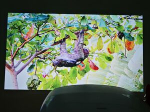 Blitzwolf BW V11 Bildqualitaet 17 Blitzwolf BW V11 Bildqualitaet 17