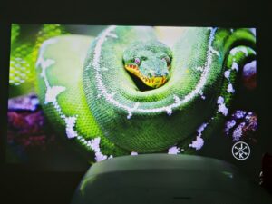 Blitzwolf BW V11 Bildqualitaet 18 Blitzwolf BW V11 Bildqualitaet 18