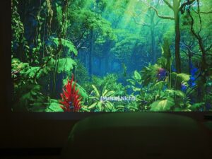 Blitzwolf BW V11 Bildqualitaet 42 Blitzwolf BW V11 Bildqualitaet 42