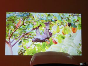 Blitzwolf BW V11 Bildqualitaet 8 Blitzwolf BW V11 Bildqualitaet 8