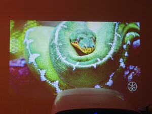 Blitzwolf BW V11 Bildqualitaet 9 Blitzwolf BW V11 Bildqualitaet 9