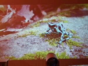 Magcubic HY300 Pro Test 27 Magcubic HY300 Pro Test 27