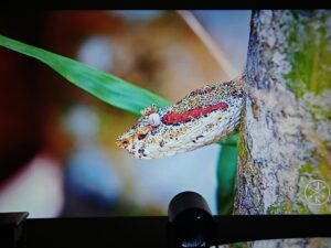 Magcubic HY300 Pro Test 32 Magcubic HY300 Pro Test 32