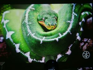 Magcubic HY300 Pro Test 35 Magcubic HY300 Pro Test 35