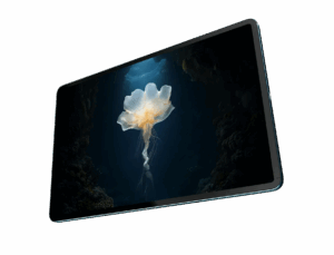 Brave Ark Titelbild II Brave Ark Titelbild II