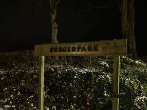 IMG 20260219 202113 IMG 20260219 202113