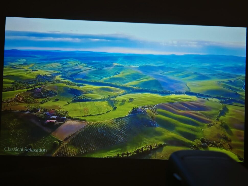 1000145691 1000145691