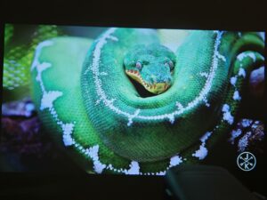 Wanbo Cube 1 90 Zoll 10 Wanbo Cube 1 90 Zoll 10