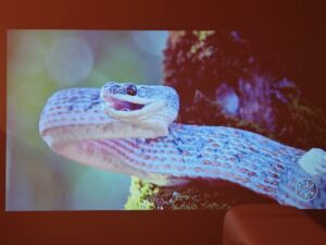 Wanbo Cube 1 90 Zoll 2 Wanbo Cube 1 90 Zoll 2