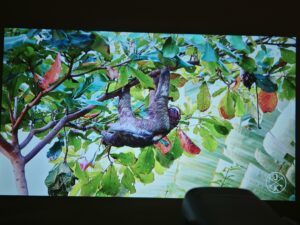 Wanbo Cube 1 90 Zoll 9 Wanbo Cube 1 90 Zoll 9