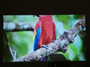 Wanbo Cube 1 Bildqualitaet 65 Zoll 6 Wanbo Cube 1 Bildqualitaet 65 Zoll 6