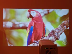 Wanbo Cube 1 Bildqualitaet 65 Zoll 7 Wanbo Cube 1 Bildqualitaet 65 Zoll 7