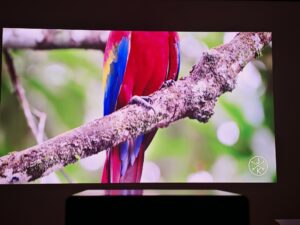 Xiaomi Laser Projector 3 75 Zoll Dunkelheit 1 Xiaomi Laser Projector 3 75 Zoll Dunkelheit 1