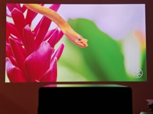 Xiaomi Laser Projector 3 75 Zoll abgedunkelt 7 Xiaomi Laser Projector 3 75 Zoll abgedunkelt 7