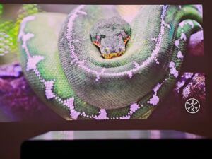 Xiaomi Laser Projector 3 95 Zoll Dunkelheit 2 Xiaomi Laser Projector 3 95 Zoll Dunkelheit 2