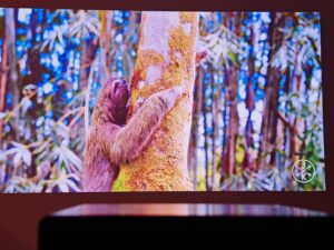 Xiaomi Laser Projector 3 95 Zoll abgedunkelt 3 Xiaomi Laser Projector 3 95 Zoll abgedunkelt 3