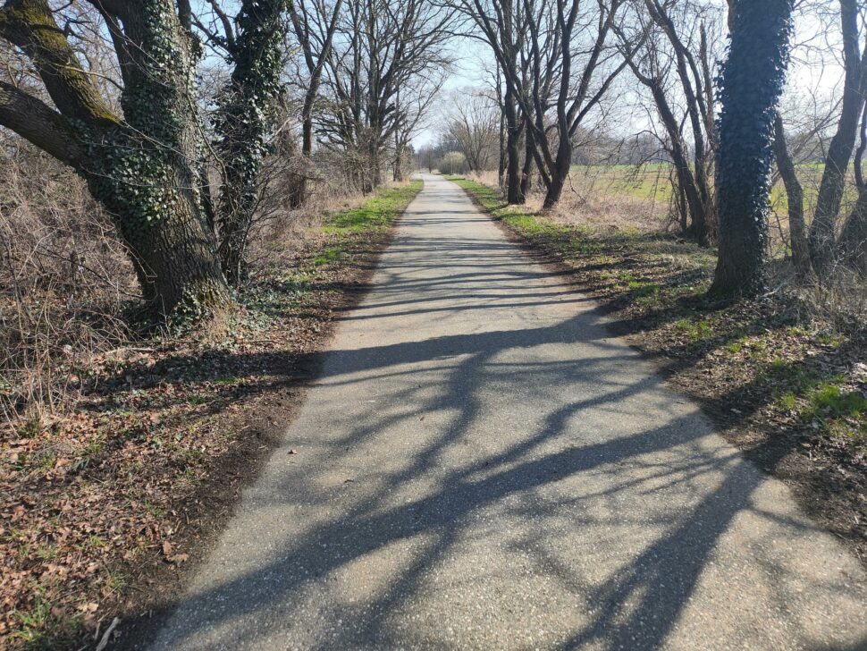 iScooter IX7 Pro Testfahrt 4 iScooter IX7 Pro Testfahrt 4