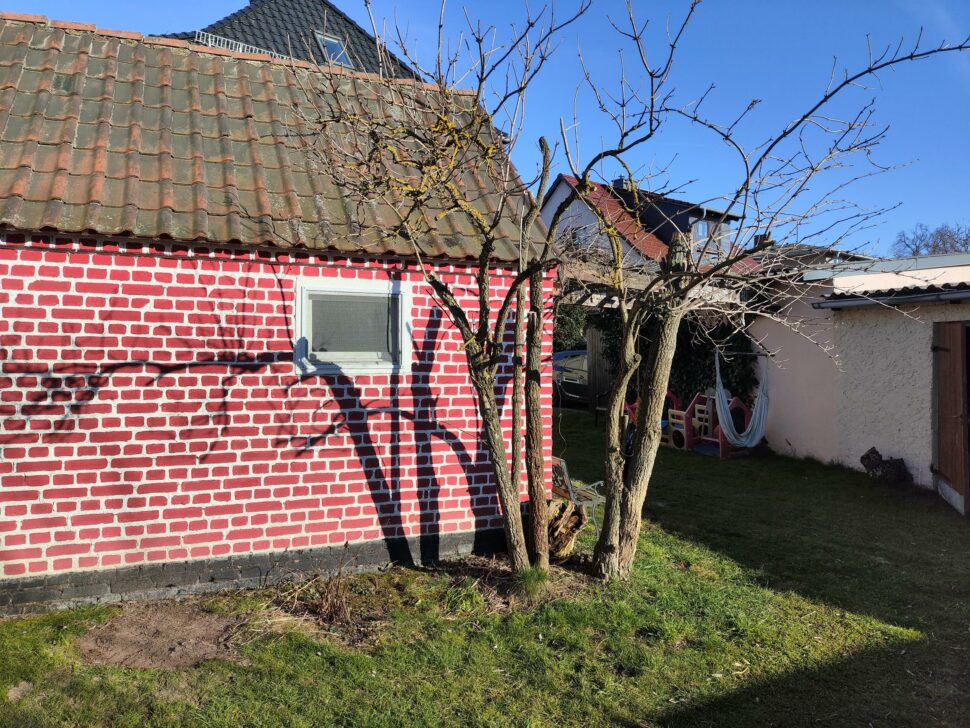 Mammotion Luba Mini 2 AWD Testgarten 3 Mammotion Luba Mini 2 AWD Testgarten 3