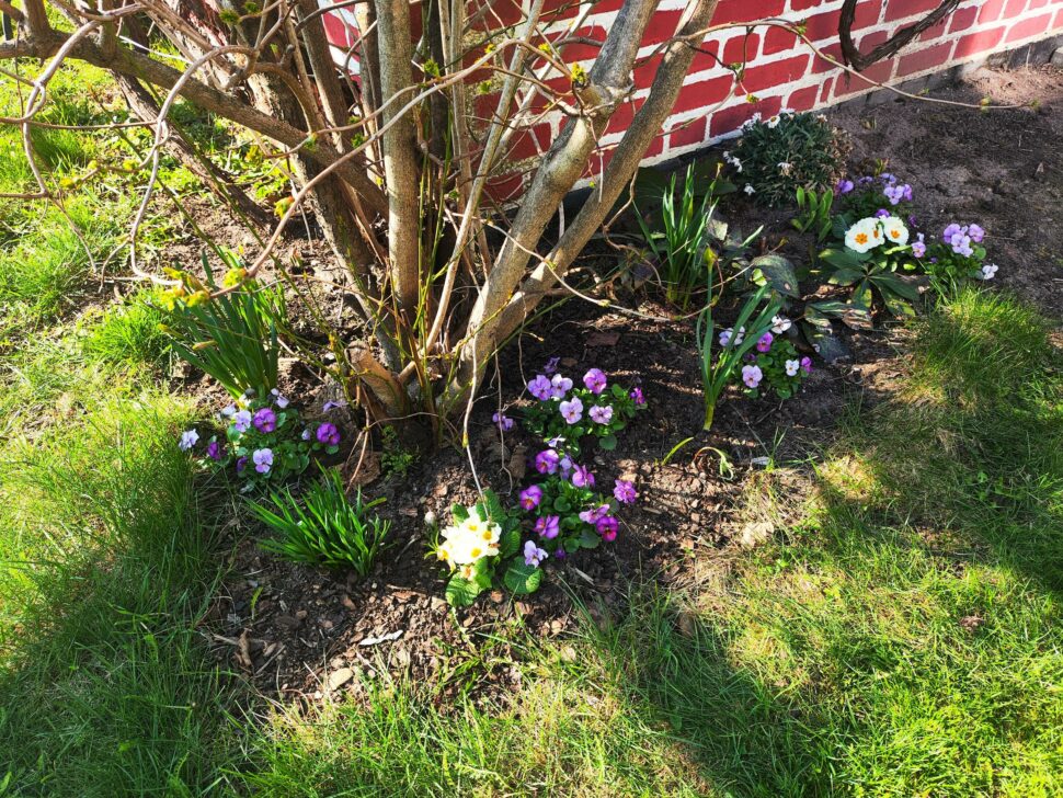 Mammotion Luba Mini 2 Kantenmaehen 2 Mammotion Luba Mini 2 Kantenmaehen 2