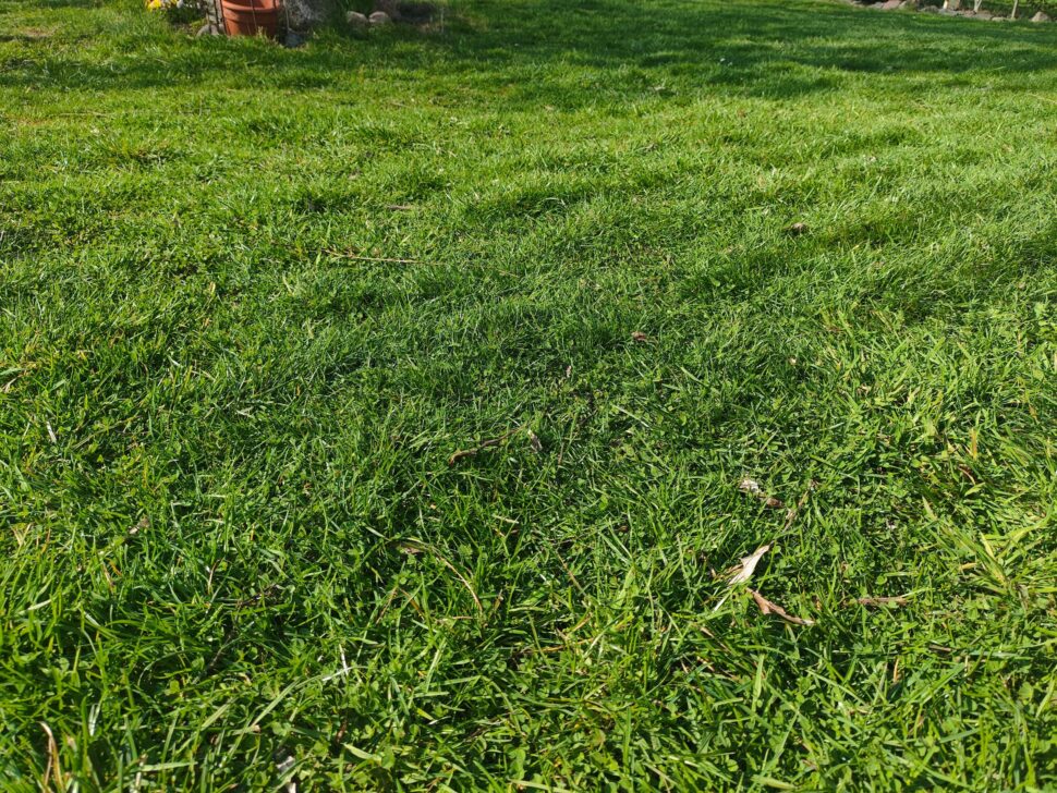 Mammotion Luba Mini 2 Mahd 2 Mammotion Luba Mini 2 Mahd 2