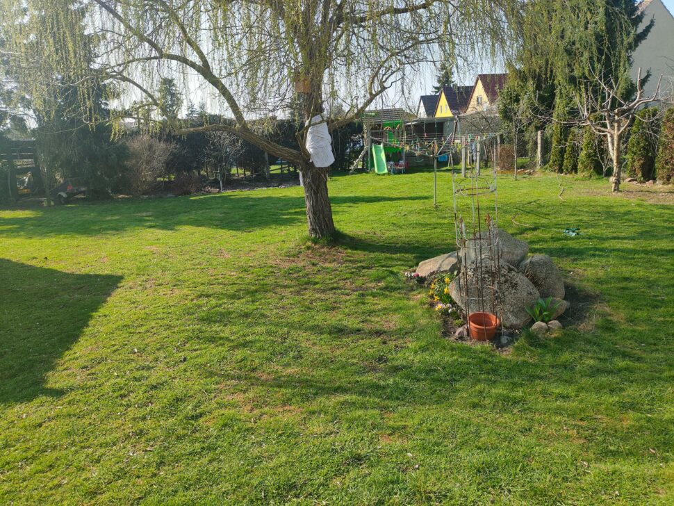 Navimow i215 LiDAR Testgarten 2 1 Navimow i215 LiDAR Testgarten 2 1