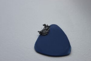 Nipogi E3B Test 18 Nipogi E3B Test 18