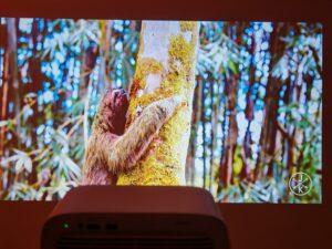 1000148639 1000148639