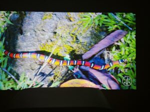 Wanbo Vali 1 Pro 80 Zoll 12 Wanbo Vali 1 Pro 80 Zoll 12