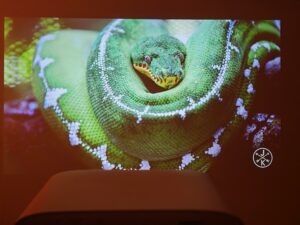 Wanbo Vali 1 Pro 80 Zoll 8 Wanbo Vali 1 Pro 80 Zoll 8