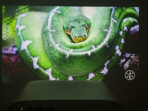 Wanbo Vali 1 Pro 80 Zoll 9 Wanbo Vali 1 Pro 80 Zoll 9