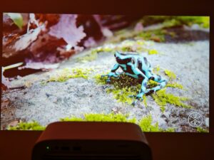 Wanbo Vali 1 Pro Bild 65 Zoll 13 Wanbo Vali 1 Pro Bild 65 Zoll 13