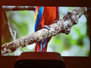 Wanbo Vali 1 Pro Bild 65 Zoll 14 Wanbo Vali 1 Pro Bild 65 Zoll 14