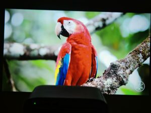 Wanbo Vali 1 Pro Bild 65 Zoll 15 Wanbo Vali 1 Pro Bild 65 Zoll 15