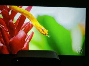 Wanbo Vali 1 Pro Bild 65 Zoll 16 Wanbo Vali 1 Pro Bild 65 Zoll 16