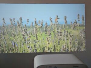 Wanbo Vali 1 Pro Tageslicht 3 Wanbo Vali 1 Pro Tageslicht 3