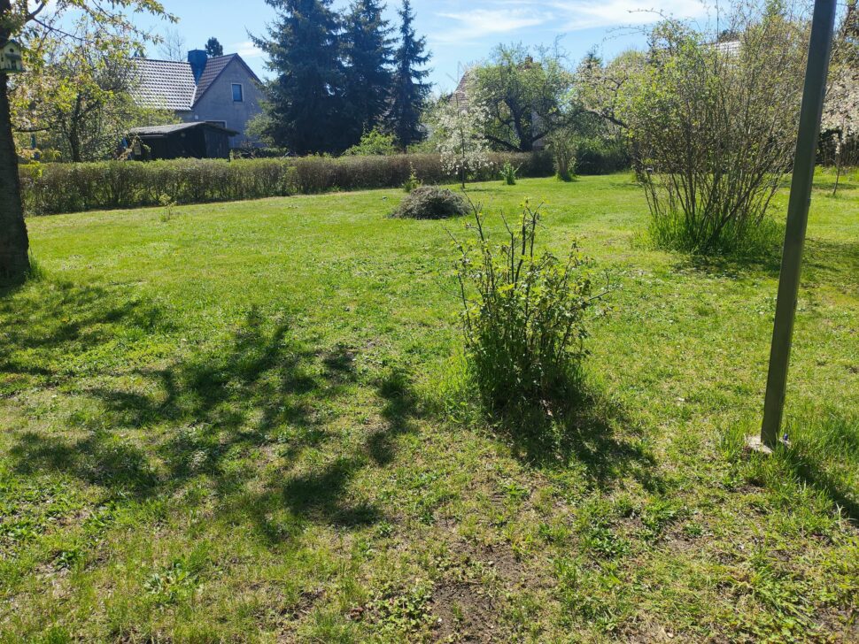 Lymow One Plus Schnittbild 4 Lymow One Plus Schnittbild 4