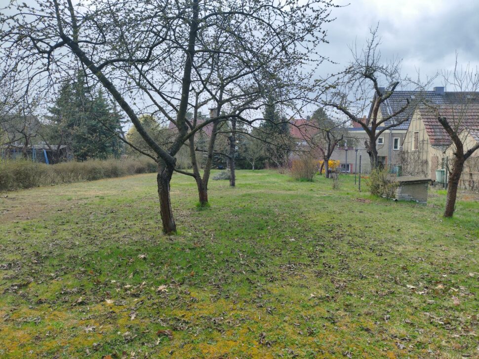 Lymow One Plus Testgarten 1 Lymow One Plus Testgarten 1