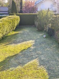 Navimow X430 Testgarten Navimow X430 Testgarten