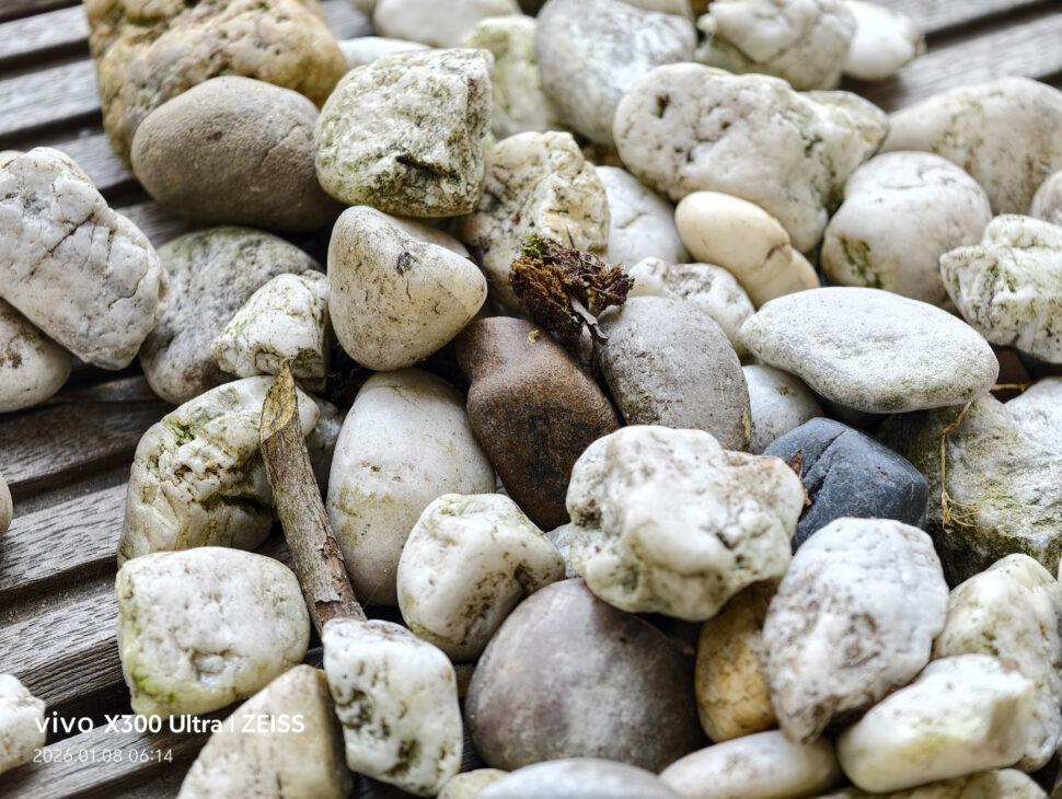 Vivo X300 Ultra Camera Sample4 Vivo X300 Ultra Camera Sample4