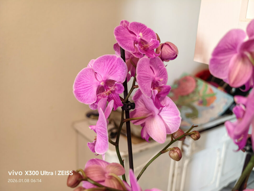 Vivo X300 Ultra Camera Sample5 Vivo X300 Ultra Camera Sample5