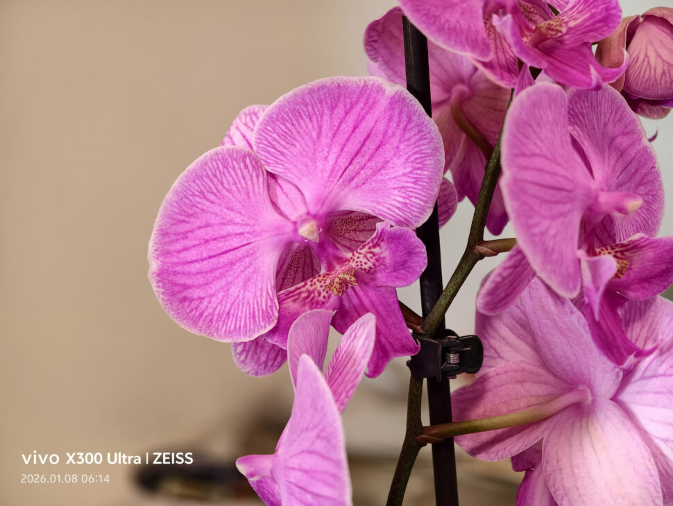 Vivo X300 Ultra Camera Sample6 Vivo X300 Ultra Camera Sample6