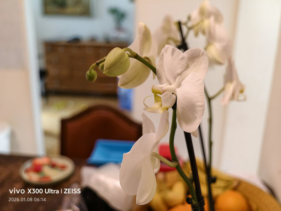 Vivo X300 Ultra Camera Sample7 Vivo X300 Ultra Camera Sample7