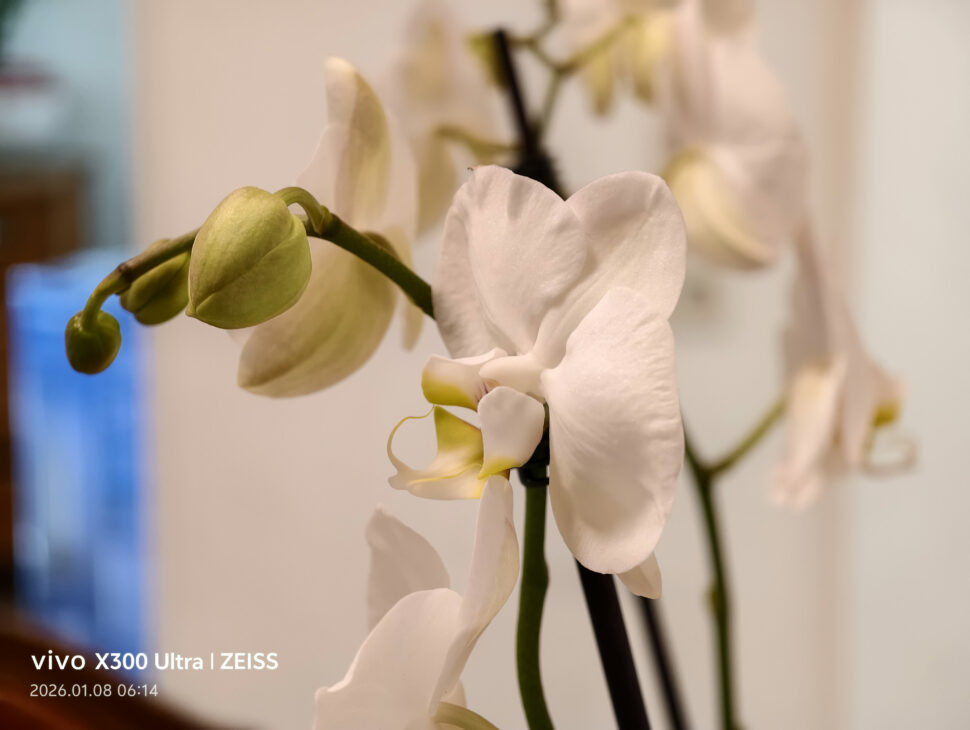 Vivo X300 Ultra Camera Sample8 Vivo X300 Ultra Camera Sample8