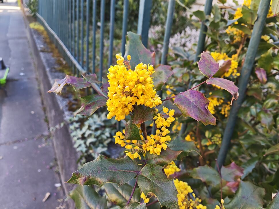 Xiaomi Pad 8 Pro Camera Sample 2 Xiaomi Pad 8 Pro Camera Sample 2