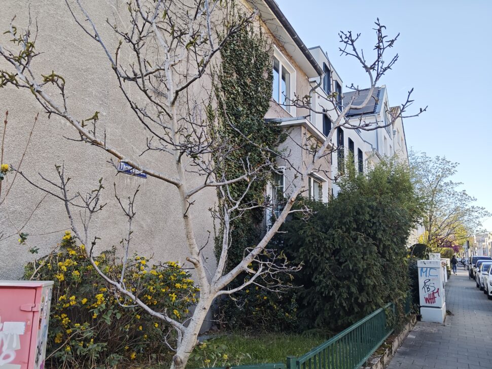 Xiaomi Pad 8 Pro Camera Sample 4 Xiaomi Pad 8 Pro Camera Sample 4