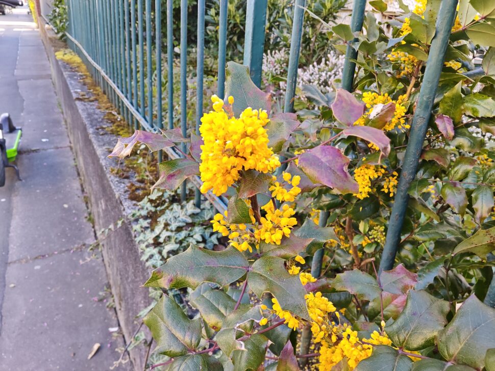 Xiaomi Pad 8 Main Cam Sample 5 Xiaomi Pad 8 Main Cam Sample 5