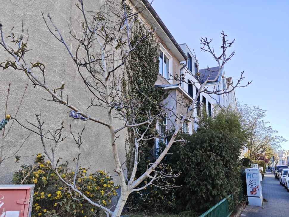 Xiaomi Pad 8 Main Cam Sample 8 Xiaomi Pad 8 Main Cam Sample 8