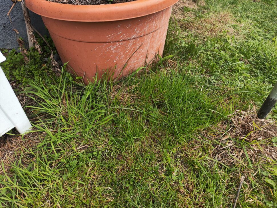 Yardcare V100 Kantenmaehen 1 Yardcare V100 Kantenmaehen 1